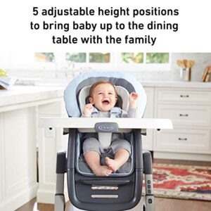 Graco DuoDiner DLX 6-in-1 Highchair, Hamilton