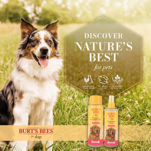 Burt's Bees for Dogs Refreshing Spray with Natural Grapefruit Fragrance Natural Dog Deodorizing Spray, pH Balanced for Dogs, Sulfate & Paraben Free, Made in The USA, 8 oz