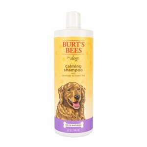 burt’s bees for dogs natural calming dog shampoo | soothes, calms & revitalizes dog’s coats | dog shampoos made with lavender and green tea | ph balanced for puppies – made in usa, 32 oz