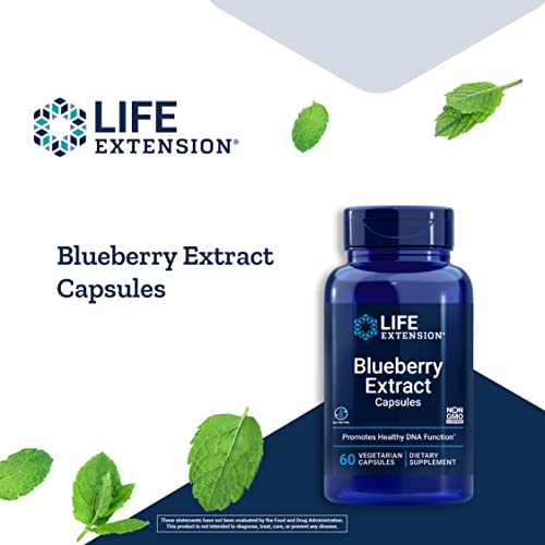 Life Extension Blueberry Extract Capsules - Whole Fruit Wild Blueberry Extract Supplement Pills- For Brain Health Support - Non-GMO, Gluten-Free ,Vegetarian - 60 Capsules