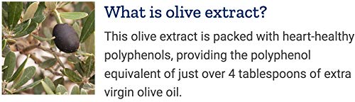 Life Extension Super Omega-3 360 Softgels, Easy to Swallow, EPA/DHA Omega3 Fish Oil, Sesame Lignans & Olive Extract