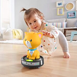 Fisher-Price Laugh & Learn Crawl-After Cat on a Vac, Musical Toy for Crawling Babies and Walking Toddlers