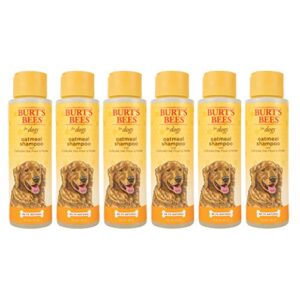 burt’s bees for dogs natural oatmeal dog shampoo | with colloidal oat flour & honey | cruelty free, sulfate & paraben free, ph balanced for dogs – made in usa, 16 oz – pack of 6