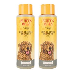 Burt's Bees for Dogs Natural Skin Soothing Shampoo with Honey | Dog Shampoo for All Dogs and Puppies | Safe for Dogs with Dry, Sensitive Skin | pH Balanced for Dogs - Made in USA, 16 Ounces - 2 Pack