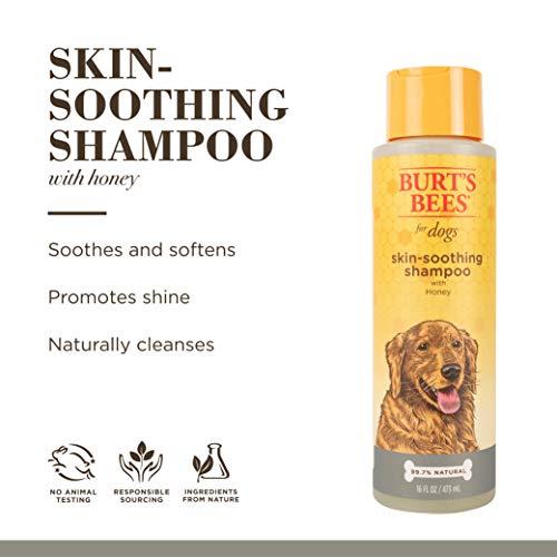 Burt's Bees for Dogs Natural Skin Soothing Shampoo with Honey | Dog Shampoo for All Dogs and Puppies | Safe for Dogs with Dry, Sensitive Skin | pH Balanced for Dogs - Made in USA, 16 Ounces - 2 Pack