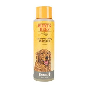 Burt's Bees for Dogs Natural Skin Soothing Shampoo with Honey | Dog Shampoo for All Dogs and Puppies | Safe for Dogs with Dry, Sensitive Skin | pH Balanced for Dogs - Made in USA, 16 Ounces - 2 Pack