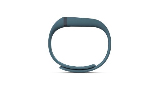 Fitbit Flex Wireless Activity + Sleep Wristband, Slate, Small/Large