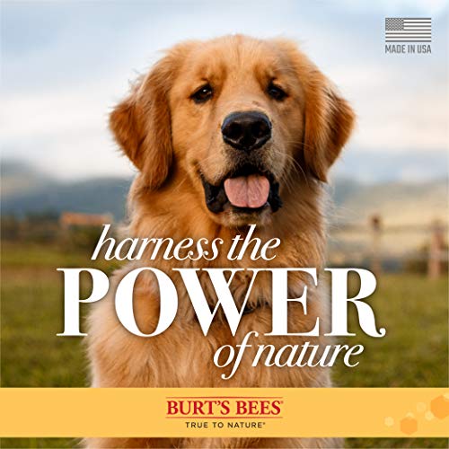 Burt's Bees for Dogs Natural Detangling Spray for Dogs and Double Sided Pin & Bristle Brush for Dogs - Burts Bees Dog Detangling Spray, Dog Brush, Dog Hair Detangler, Pin Brush, Dog Hair Brush