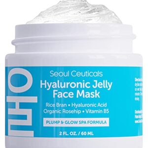 Korean Skin Care Hyaluronic Acid Jelly Mask – Korean Face Mask Skincare K Beauty Face Masks Contains Rice Bran + Rosehip + Vitamin B5 – Anti Aging Spa Hydro Gel Face Mask for Plump Glowing Skin 2oz