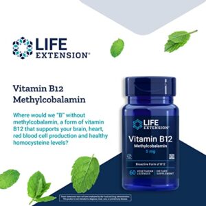 Life Extension Vitamin B12 Methylcobalamin 5 mg – Dissolvable Vitamin B Supplement for Nerve, Brain Health and Energy – Gluten-Free, Non-GMO, Vegetarian – 60 Lozenges