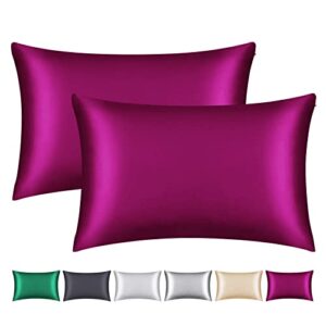 smbeope 100% mulberry silk pillowcase 2 pack for hair and skin,with hidden zipper,both sides 22 momme natural silk pillow cover,soft breathable & smooth (wine red, standard)