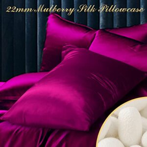 Smbeope 100% Mulberry Silk Pillowcase 2 Pack for Hair and Skin,with Hidden Zipper,Both Sides 22 Momme Natural Silk Pillow Cover,Soft Breathable & Smooth (Wine Red, Standard)