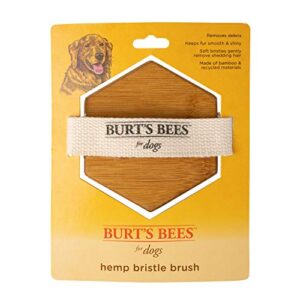 burt’s bees for dogs palm brush with hemp bristles | best ergonomic dog brush to groom large dogs | easy to hold dog brush handle reduces stress on your wrist | ideal for daily grooming