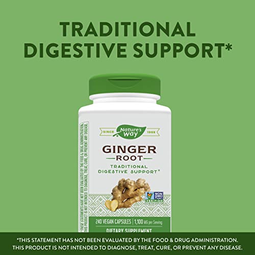 Nature's Way Ginger Root, Traditional Digestive Support*, 1110 mg Per Serving, Non-GMO Project Verified, 240 Capsules