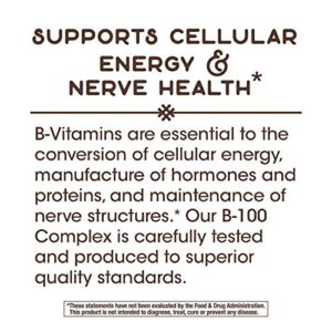 Nature's Way Vitamin B-100 Complex Capsule