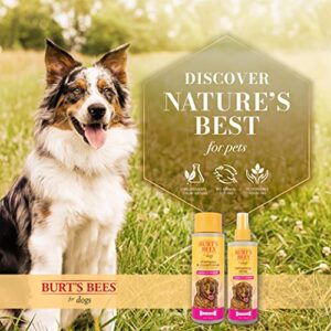 Burt's Bees for Dogs Shampoo & Conditioner with Papaya & Awapuhi Fragrance | 2-in-1 Dog Shampoo & Conditioner - Sulfate & Paraben Free, pH Balanced for Dogs - Made in USA, 12 Oz