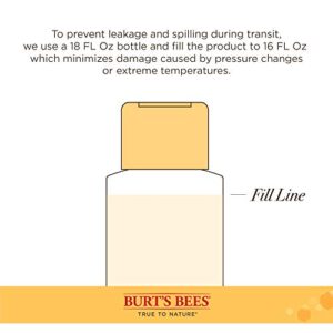 Burt's Bees for Cats Hypoallergenic Shampoo With Shea Butter & Honey | Moisturizing & Nourishing Cat Shampoo | Cruelty Free, Sulfate & Paraben Free, pH Balanced for Cats - Made in USA, 10 Oz - 2 Pack