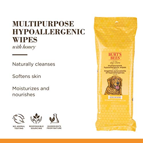 Burt's Bees for Dogs Natural Multipurpose Dog Grooming Wipes | Puppy & Dog Wipes for All Purpose Cleaning | pH Balanced for Dogs - Made in USA, 50 Count Pet Wipes - 2 Pack