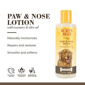 Burt's Bees for Pets for Dogs All-Natural Paw & Nose Lotion with Rosemary & Olive Oil | For All Dogs and Puppies, 4oz | Best Treatment for All Dogs and Puppies With Dry Nose and Paws