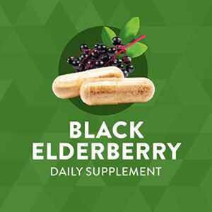 Nature's Way Black Elderberry, 1,150 mg per serving, 100 VCaps (Packaging May Vary)