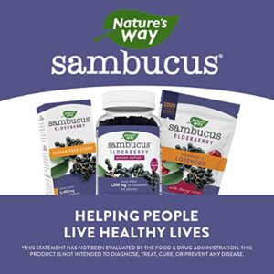 Nature’s Way Sambucus Elderberry Immune Support Gummies*, Elderberry with Vitamin C, Vitamin D and Zinc, 100 Gummies