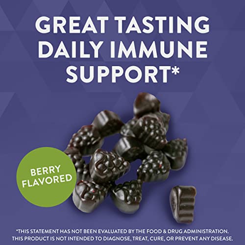 Nature’s Way Sambucus Elderberry Immune Support Gummies*, Elderberry with Vitamin C, Vitamin D and Zinc, 100 Gummies