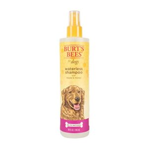 burt’s bees for dogs natural waterless shampoo spray with apple and honey | dry dog shampoo for all dogs and puppies | cruelty, sulfate & paraben free, ph balanced for dogs – made in usa, 10 ounces