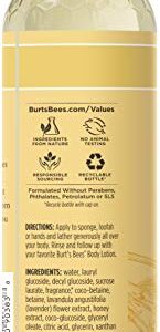 Burts Bees Lavender & Honey Body Wash, 12 Oz - Pack of 3 (Package May Vary)