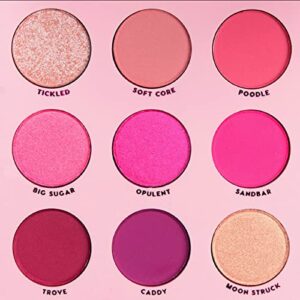 Colourpop Eyeshadow Palette OOH LA LA - Pink Monochromatic Shades, 0.3 Ounce