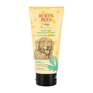 burt’s bees for dogs care plus+ natural sea buckthorn & kelp restoring nose & paw lotion | heals & moisturizes dog noses and paws | ph balanced for dogs – made in usa, 6 oz bottle of lotion