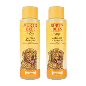 burt’s bees for dogs natural oatmeal dog shampoo | with colloidal oat flour & honey | cruelty free, sulfate & paraben free, ph balanced for dogs – made in usa, 16 oz – pack of 2
