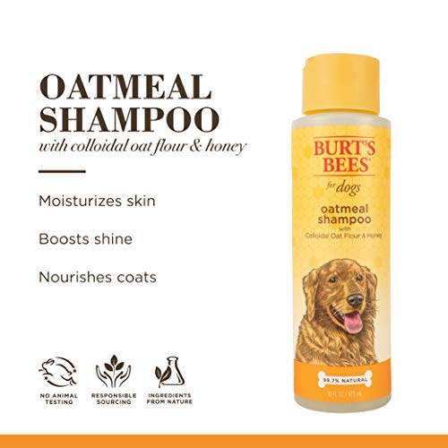 Burt's Bees for Dogs Natural Oatmeal Dog Shampoo | with Colloidal Oat Flour & Honey | Cruelty Free, Sulfate & Paraben Free, pH Balanced for Dogs - Made in USA, 16 Oz - Pack of 2