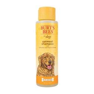 Burt's Bees for Dogs Natural Oatmeal Dog Shampoo | with Colloidal Oat Flour & Honey | Cruelty Free, Sulfate & Paraben Free, pH Balanced for Dogs - Made in USA, 16 Oz - Pack of 2