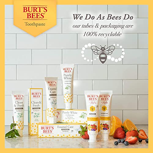 P&G-Burts Bees Toothpaste Purely White 4.7 Ounce Zen Peppermint (Pack of 2)