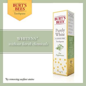 P&G-Burts Bees Toothpaste Purely White 4.7 Ounce Zen Peppermint (Pack of 2)