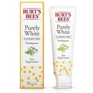 P&G-Burts Bees Toothpaste Purely White 4.7 Ounce Zen Peppermint (Pack of 2)