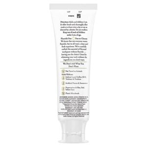 P&G-Burts Bees Toothpaste Purely White 4.7 Ounce Zen Peppermint (Pack of 2)