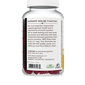 Nature's Way Zinc Gummies, Mixed Berry Flavored (200 ct.)