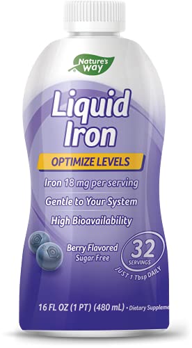 Nature's Way Wellesse Liquid Iron, Fast Absorbing, 16 Fluid Ounces, Natural Berry Flavor