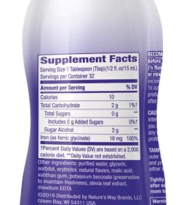 Nature's Way Wellesse Liquid Iron, Fast Absorbing, 16 Fluid Ounces, Natural Berry Flavor