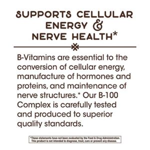 Nature's Way Vitamin B-100 Complex