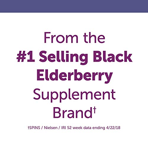 Nature's Way Sambucus Elderberry Immune Syrup with Vitamin C, Echinacea, & Zinc, Immune Support*, 4 Fl. Oz. (Packaging May Vary)