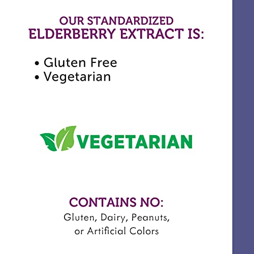 Nature's Way Sambucus Elderberry Immune Syrup with Vitamin C, Echinacea, & Zinc, Immune Support*, 4 Fl. Oz. (Packaging May Vary)