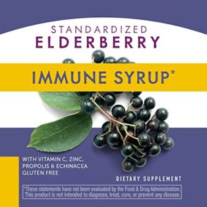 Nature's Way Sambucus Elderberry Immune Syrup with Vitamin C, Echinacea, & Zinc, Immune Support*, 4 Fl. Oz. (Packaging May Vary)