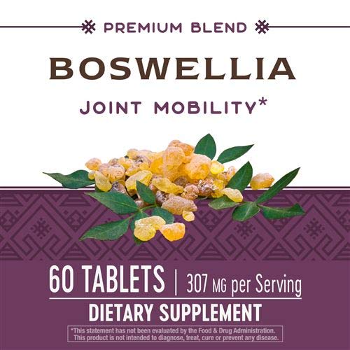 Nature's Way Standardized Boswellia, 40% Boswellic Acids per Serving, TRU-ID Certified, Vegetarian, 60 Tablets, Pack of 2