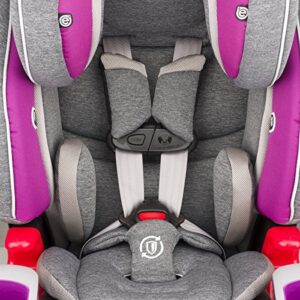 Evenflo Evolve Platinum 3-in-1 Combination Booster Seat, Dreamer