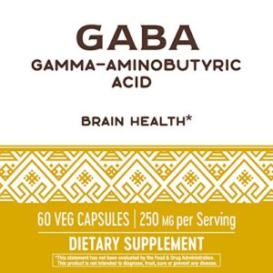 Nature's Way GABA Gamma-Aminobutyric Acid, Supports Brain Health*, 60 Capsules