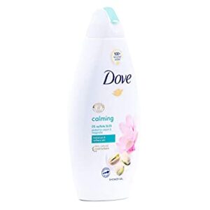 Dove Body Wash Variety - Shea Butter, Deep Moisture, Pistachio Cream, Coconut Milk, Gentle Exfoliating and Silk Glow, 16.9oz Each International Version ,16.9Oz, 6 Count (Pack of 1)