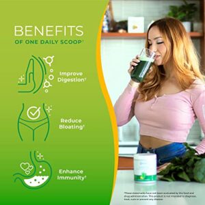One Sol Greens, Super Greens Powder to Reduce Bloating & Improve Gut Health, Superfood Fresh Bloom Organic Greens Blend Juice & Smoothie Mix, Pre & Probiotic with Digestive Enzymes, Vegan & Soy Free