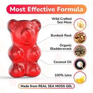 Organic Sea Moss Gummies – Contains Irish Sea Moss + Burdock Root + Bladderwrack – 60 Gummies for Stronger Immune, Healthier Skin & Hair, Detox – Great for Kids & Adults, Made in USA (1)